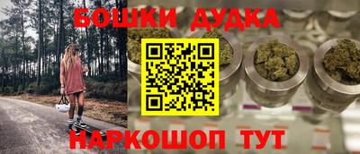 крисы Кандалакша