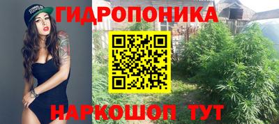 герыч Камышлов