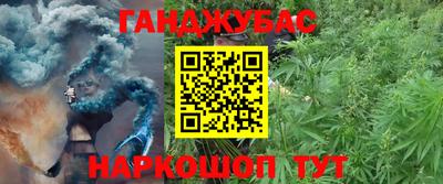 крисы Кандалакша