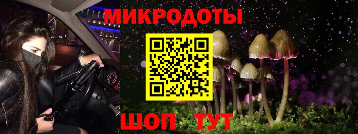 Псилоцибиновые грибы GOLDEN TEACHER  Вход с VPN  Благодарный 
